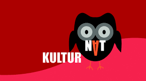 Kulturnat Logo